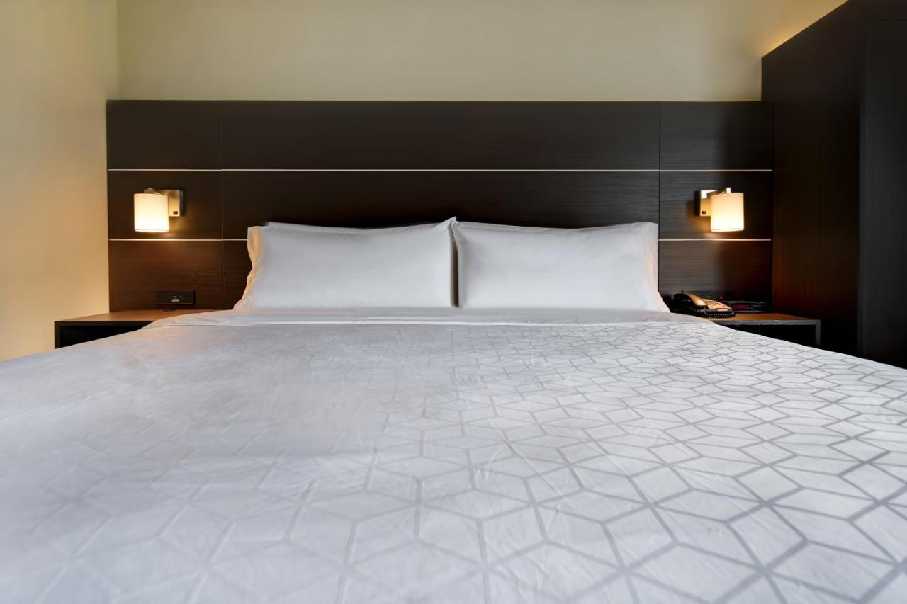 King Room with View at Holiday Inn Express & Suites Allentown-Dorney Park Area by IHG