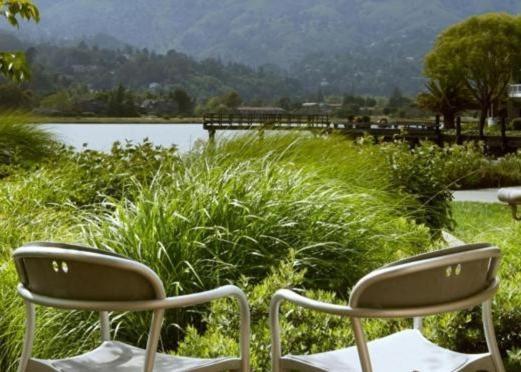 | Acqua Hotel