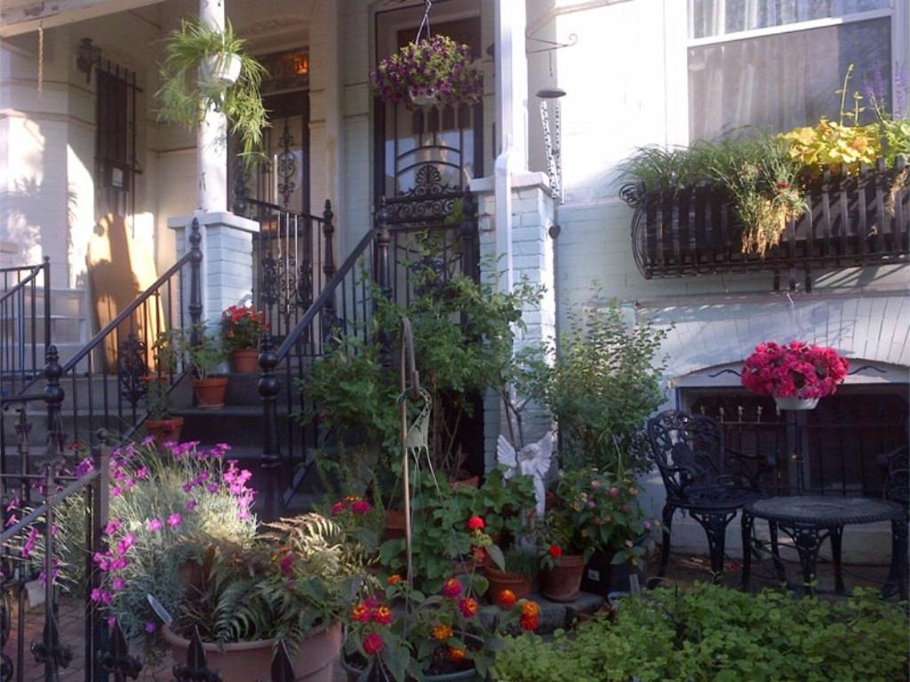 | Ledroit Park Renaissance Bed and Breakfast