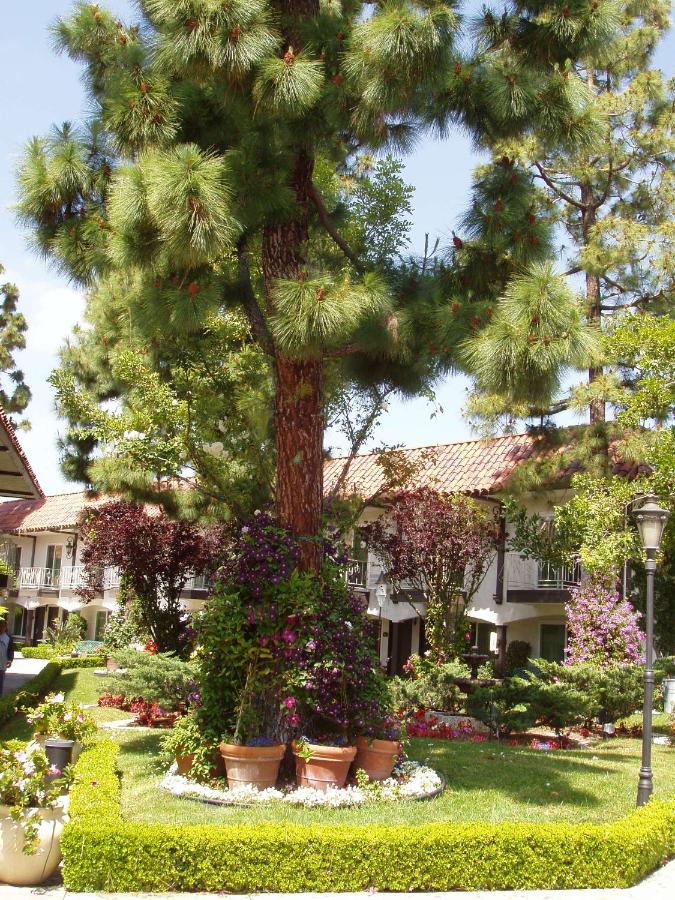| Laguna Hills Lodge-Irvine Spectrum