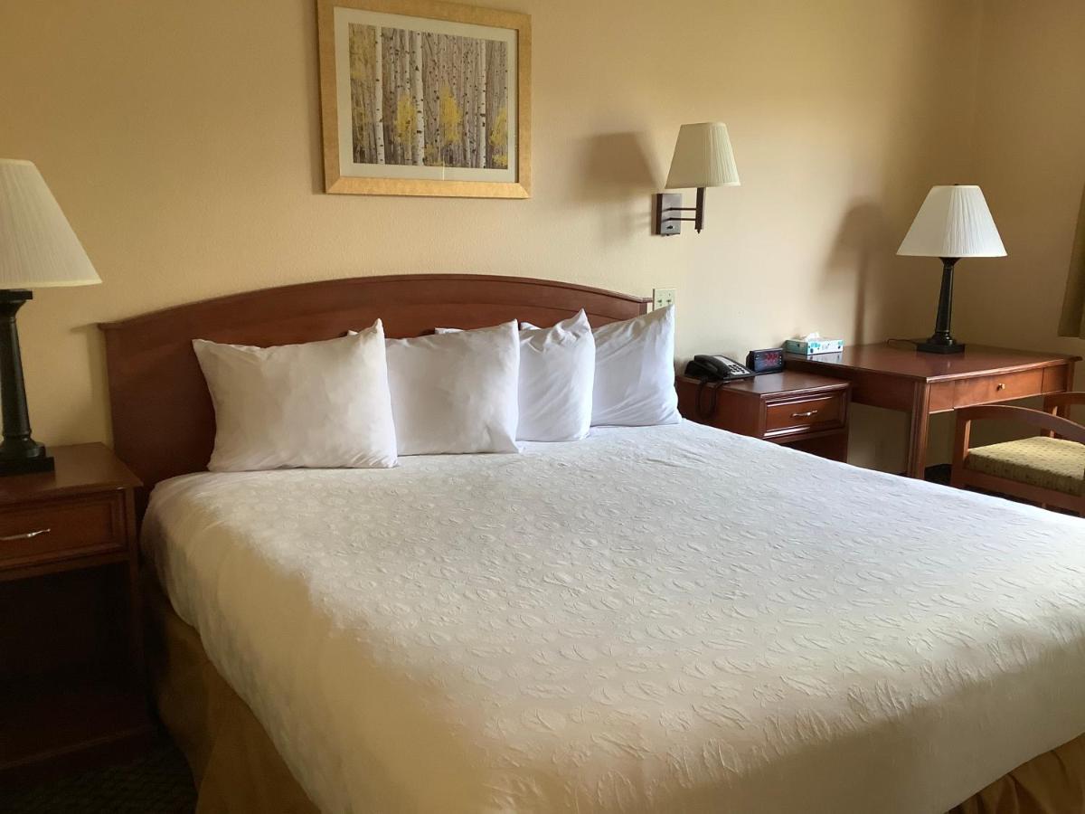 Standard King Room at Luxury Inn & Suites