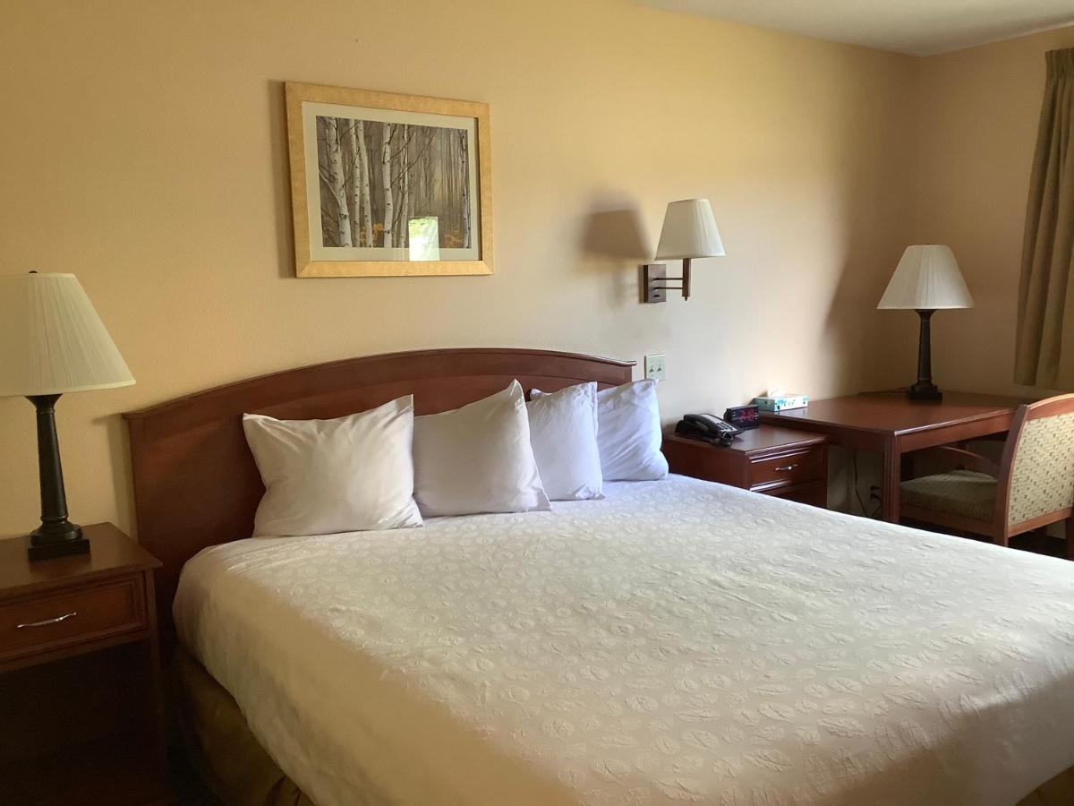 Standard King Room at Luxury Inn & Suites