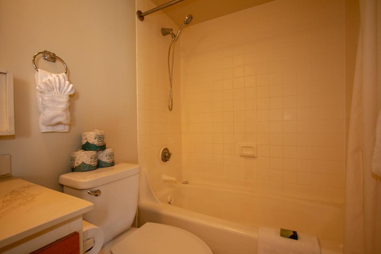 | WS Suite 2404 residence