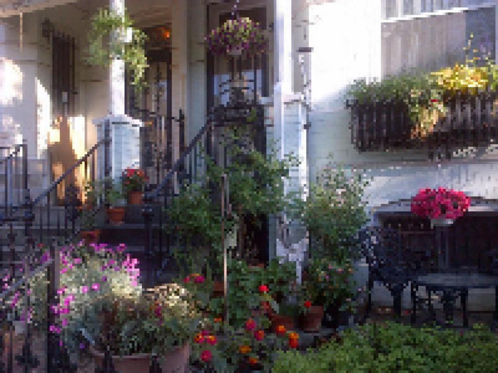 | Ledroit Park Renaissance Bed and Breakfast