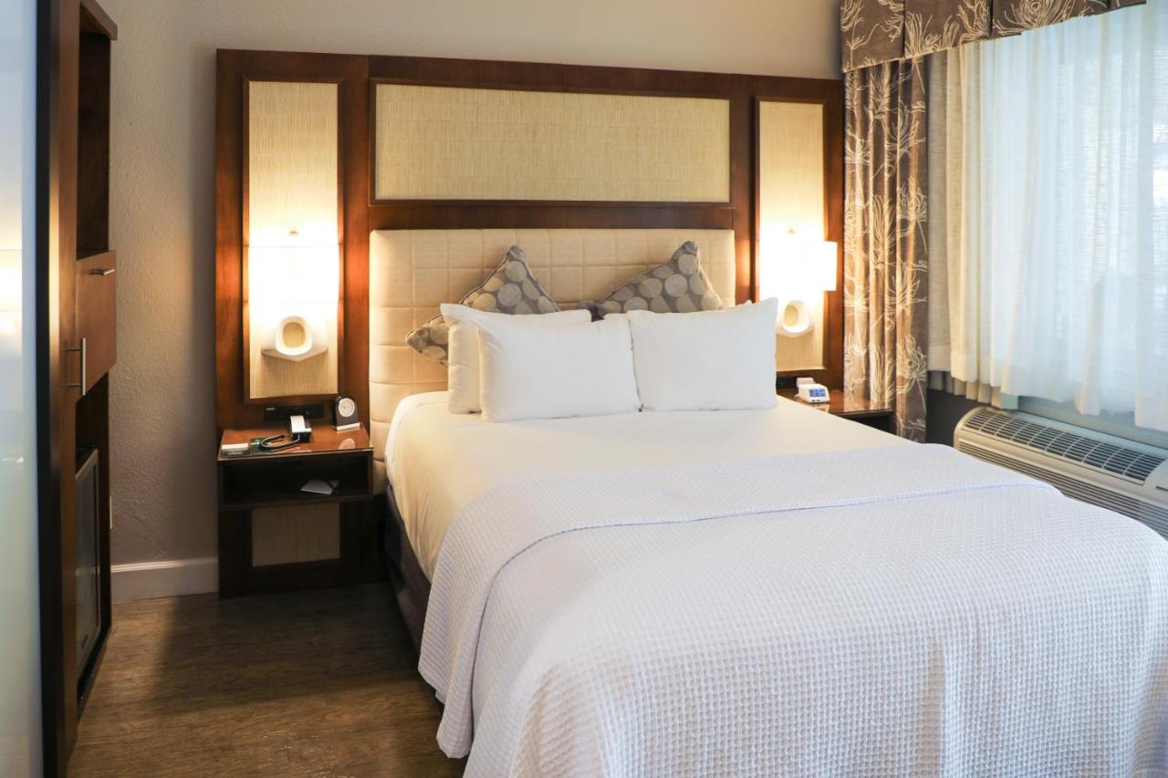 Deluxe Queen Room - Disability Access at Almond Tree Inn Hotel - Adults Only