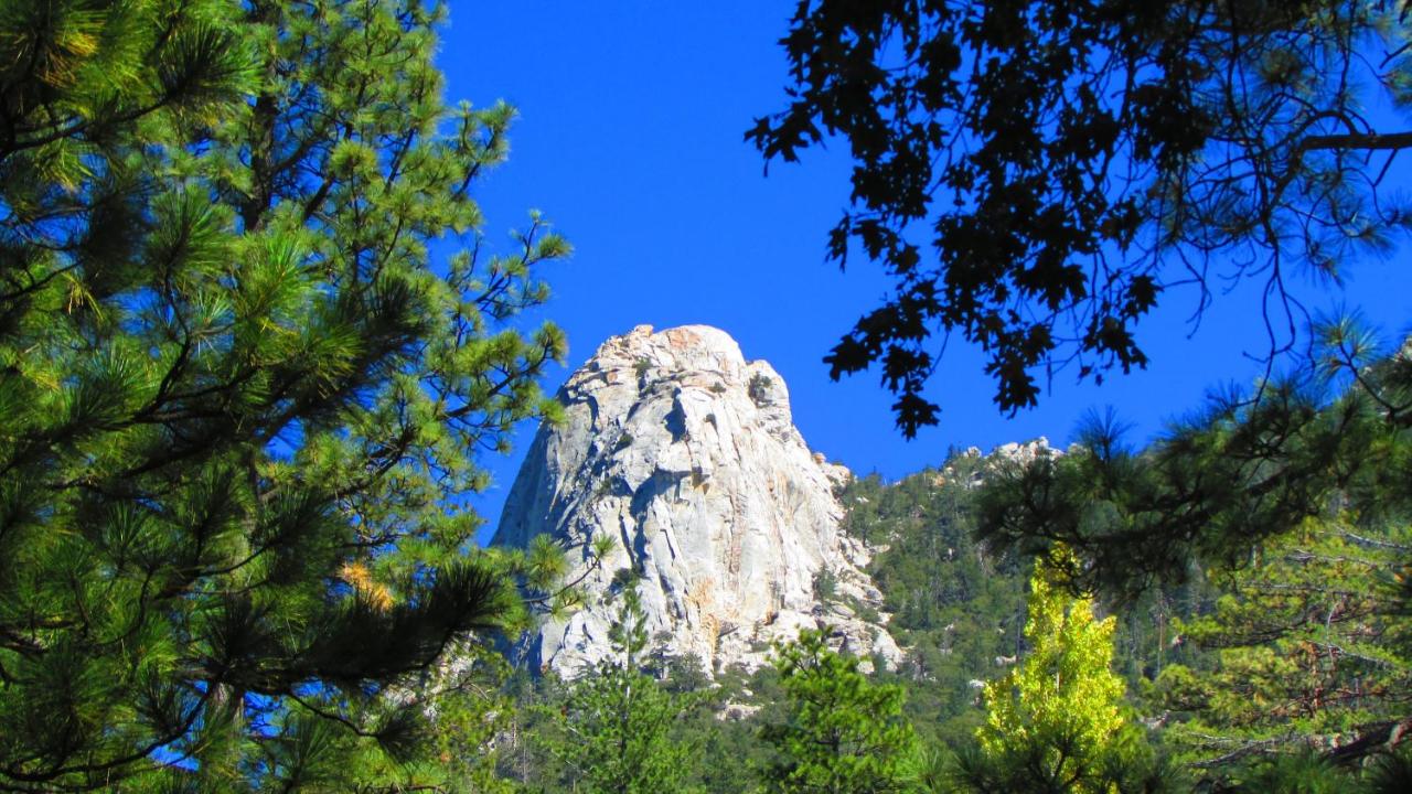 | Always Inn Idyllwild Vacation Cottages