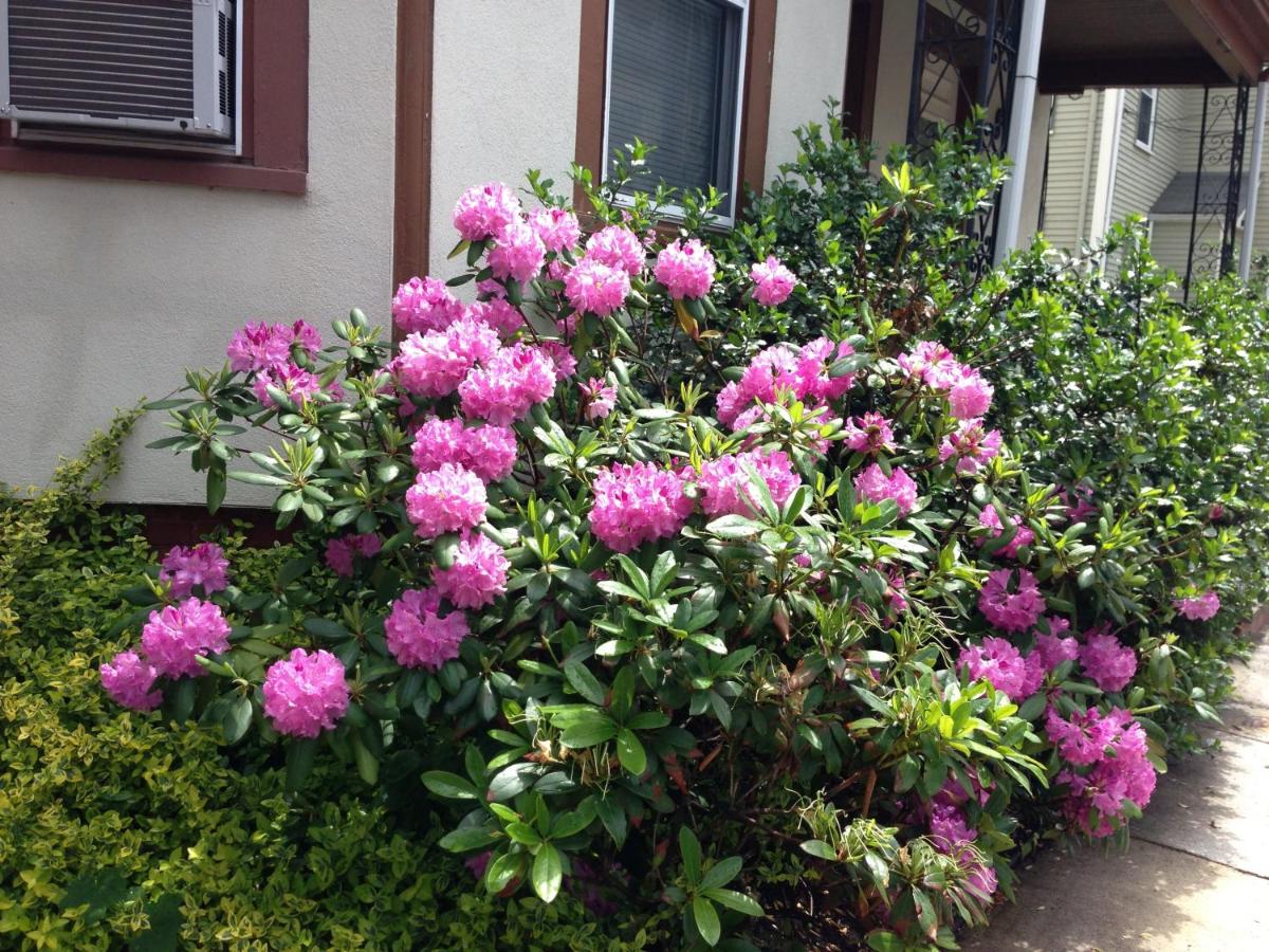 | Bowers House Bed and Breakfast