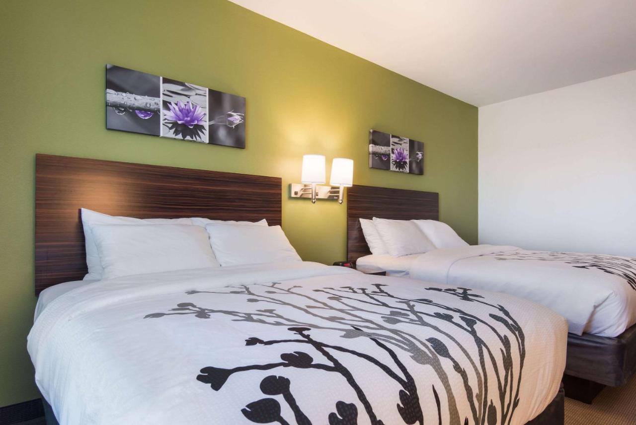 Queen Room with Two Queen Beds - Non-Smoking at Sleep Inn East Camden