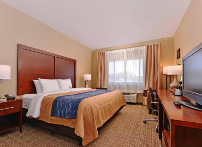 King Room - Accessible/Non-Smoking at Comfort Inn Fountain Hills - Scottsdale