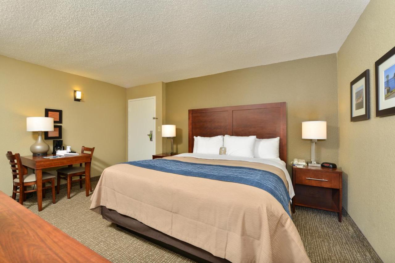 Standard King Room at Comfort Inn Elizabeth City near University