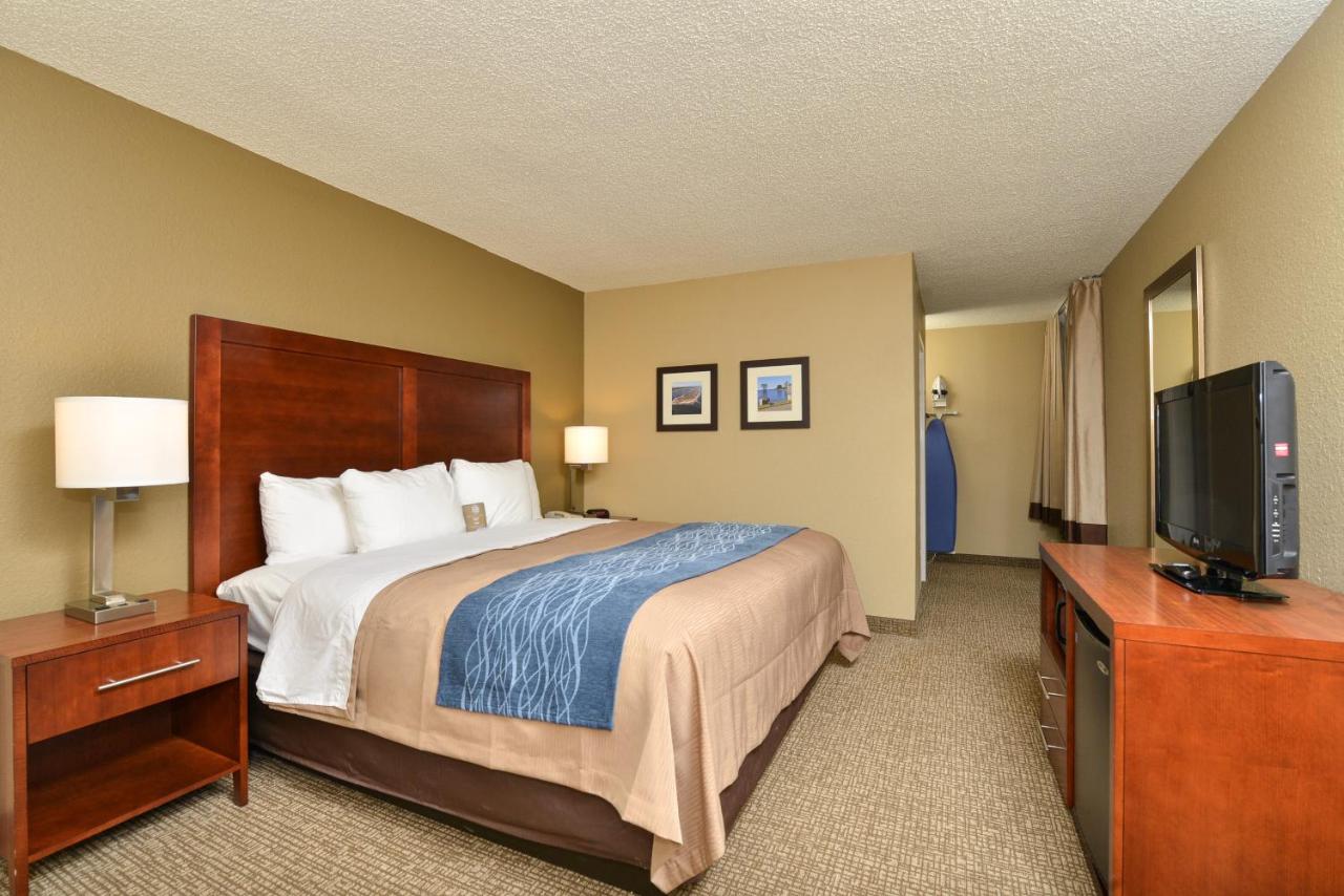 Standard King Room at Comfort Inn Elizabeth City near University