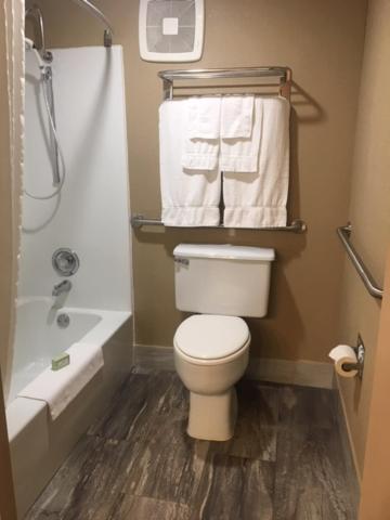 Queen Room - Disability Access at Boarders Inn & Suites by Cobblestone Hotels – Grand Island