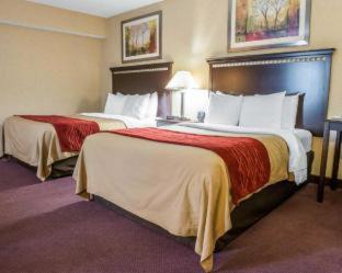 Room #49133107 at Wingate by Wyndham Grove City
