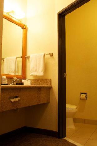 Room #53054348 at Best Western Plus Grapevine Inn