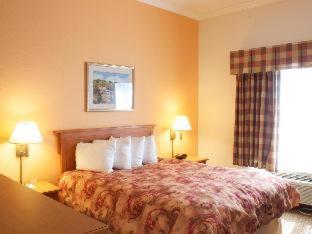 Room #53054348 at Best Western Plus Grapevine Inn