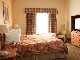 Room #53054348 at Best Western Plus Grapevine Inn