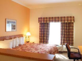 Room #53054348 at Best Western Plus Grapevine Inn