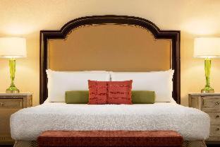 Room #117531004 at Hotel Du Pont