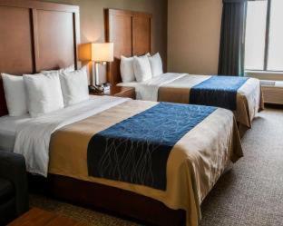 Room #24678811 at Comfort Inn Crystal Lake - Algonquin