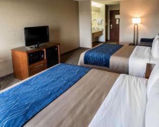 Room #24678811 at Comfort Inn Crystal Lake - Algonquin