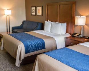Room #24678811 at Comfort Inn Crystal Lake - Algonquin