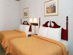 Room #24678811 at Comfort Inn Crystal Lake - Algonquin