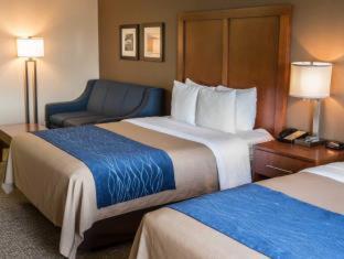 Room #24678811 at Comfort Inn Crystal Lake - Algonquin