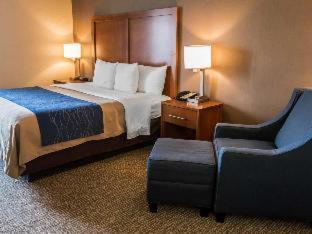 Room #24678812 at Comfort Inn Crystal Lake - Algonquin