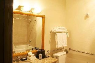 Room #53054351 at Best Western Plus Grapevine Inn