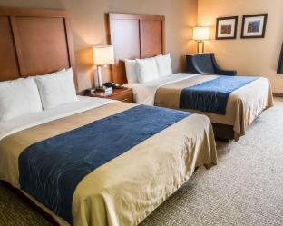 Room #24678814 at Comfort Inn Crystal Lake - Algonquin