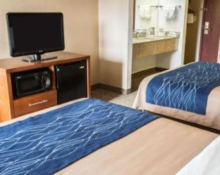 Room #24678814 at Comfort Inn Crystal Lake - Algonquin