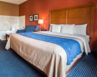 Room #24678815 at Comfort Inn Crystal Lake - Algonquin