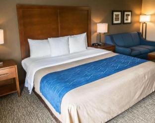 Room #24678816 at Comfort Inn Crystal Lake - Algonquin