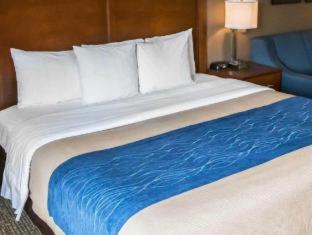 Room #24678818 at Comfort Inn Crystal Lake - Algonquin