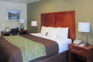 Room #48913807 at Comfort Inn Bishop