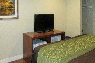 Room #48913807 at Comfort Inn Bishop