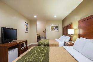 Room #48913809 at Comfort Inn Bishop