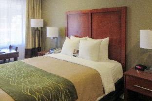 Room #48913810 at Comfort Inn Bishop