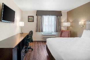 Room #359445806 at Econo Lodge Inn & Suites