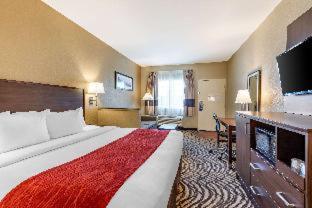 Room #26155412 at Comfort Inn & Suites Orange County John Wayne Airport