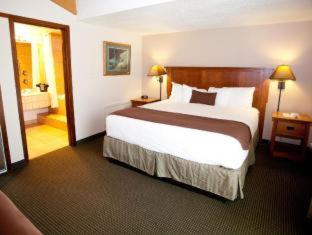 Room #31244929 at Best Western Sheridan Center