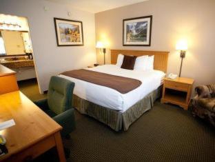 Room #31244930 at Best Western Sheridan Center