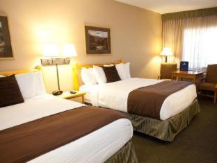 Room #31244934 at Best Western Sheridan Center