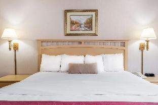 Room #109342121 at Pottsville Inn
