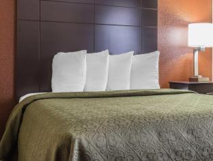 Room #62209605 at Quality Inn Mount Vernon, IL