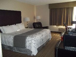 Room #73296211 at Best Western Park Oasis Inn