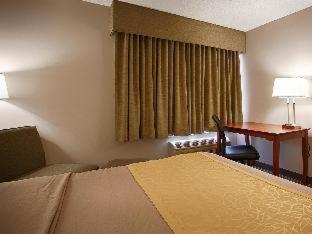Room #73296211 at Best Western Park Oasis Inn