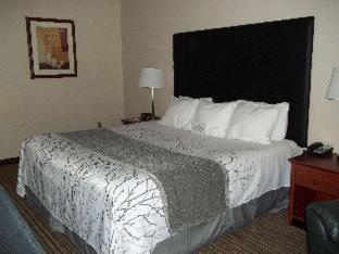 Room #73296211 at Best Western Park Oasis Inn