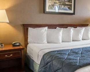 Room #24654507 at Quality Inn Schaumburg - Chicago near the Mall