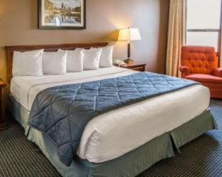Room #24654507 at Quality Inn Schaumburg - Chicago near the Mall